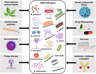 Editorial: Developing therapeutics for antimicrobial resistant pathogens